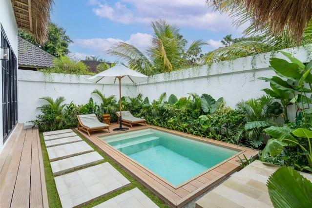 Swimming pool,Garden