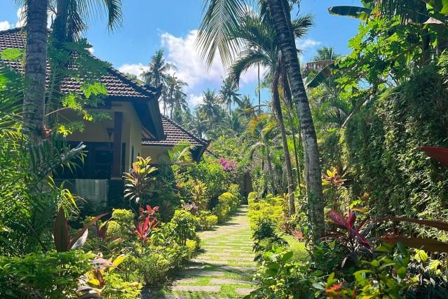 Garden,View