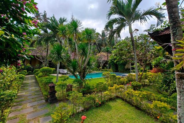 View,Garden,Swimming pool
